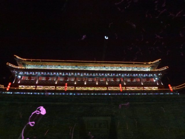 P1010517