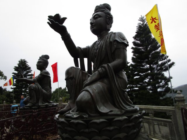 IMG_0767